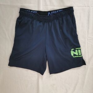 Nike Men's Dri-Fit Navy Blue Training Active Shorts L